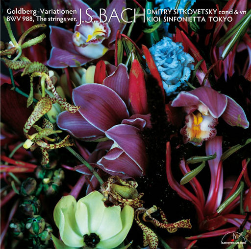 欧洲女人搞破鞋
